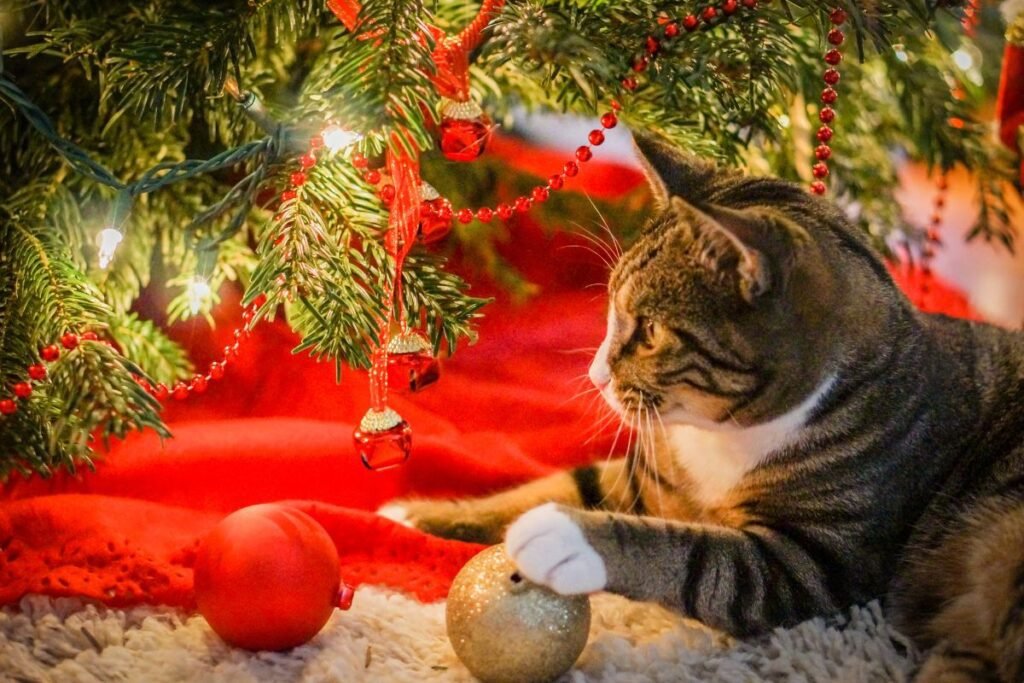 Cat, Christmas tree, How to Keep Cats Out of the Christmas Tree?