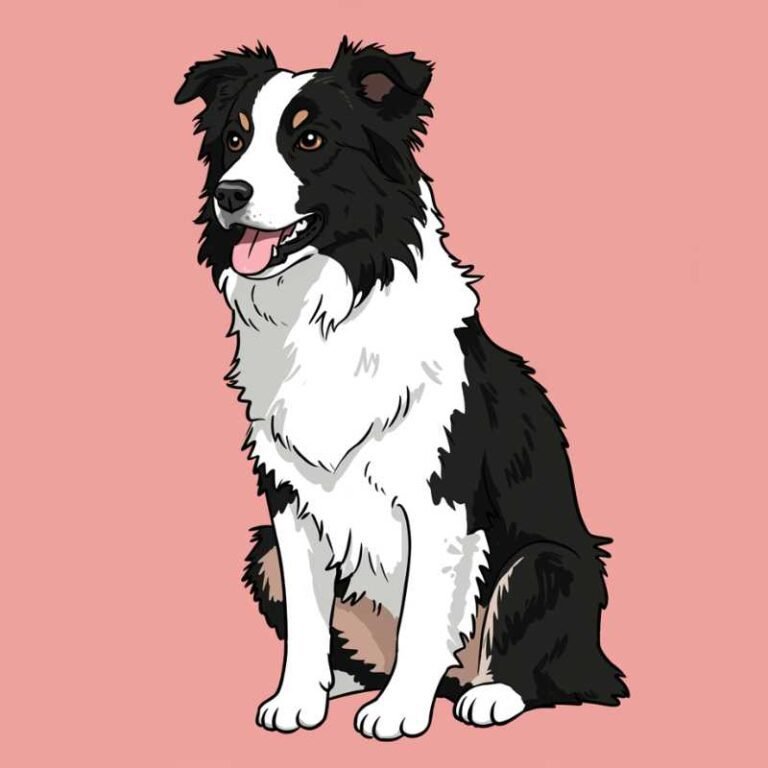 AI Image Dog Border Collie