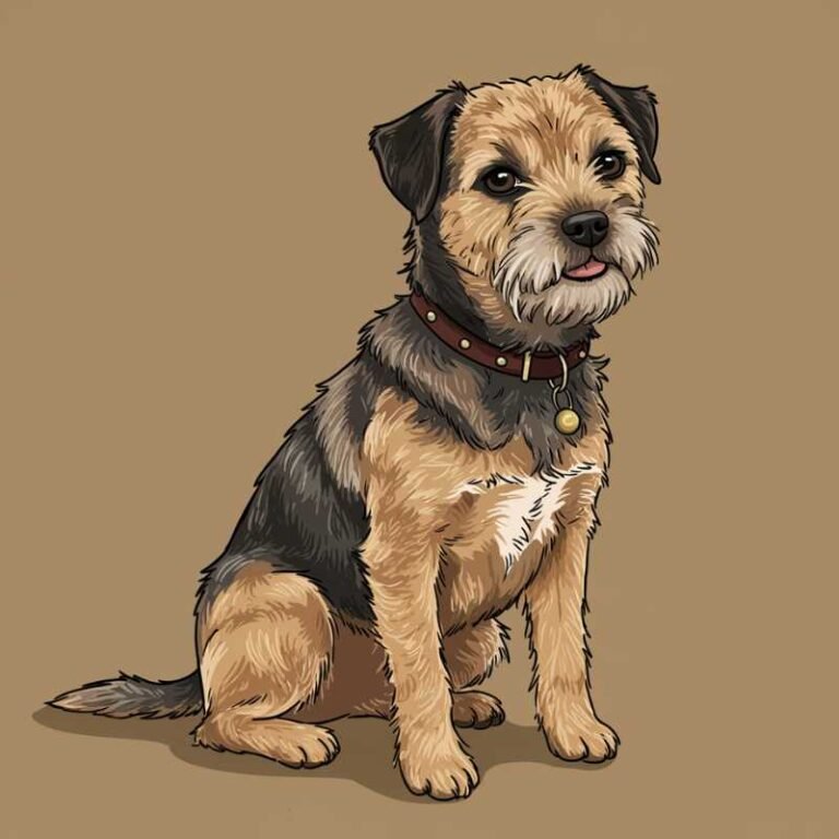 AI Image Dog Border Terrier